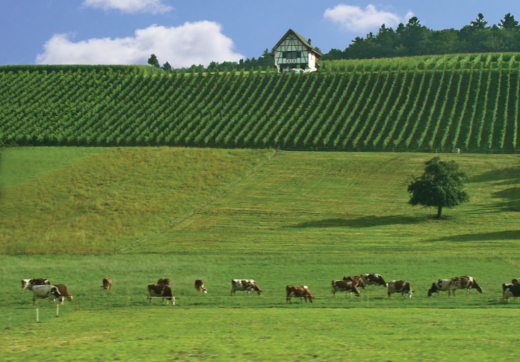 farmhouse Henniker Farm & Country Store