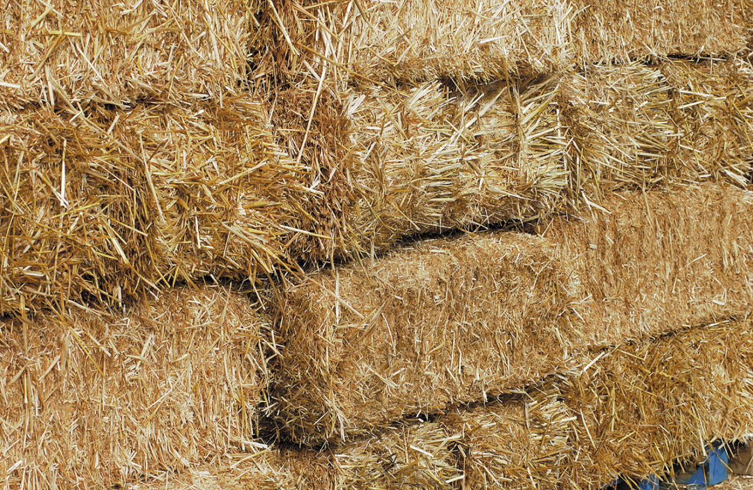 haybg Henniker Farm & Country Store