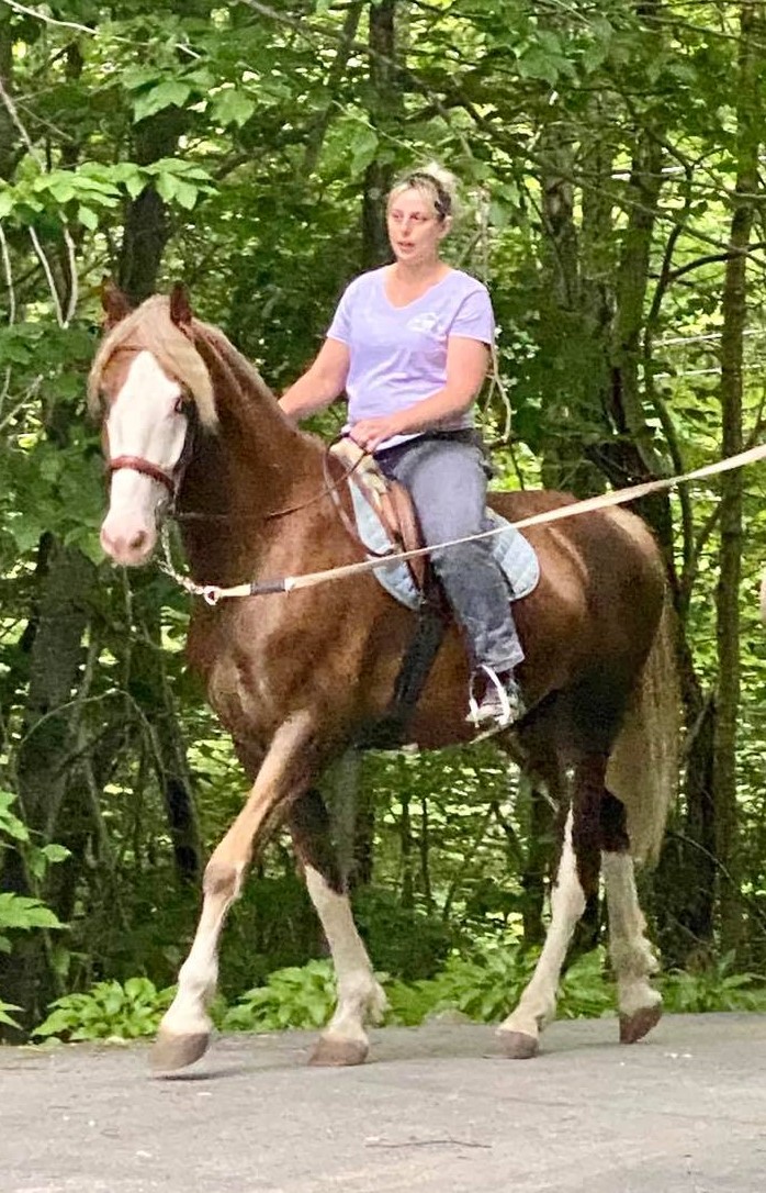 kristin horse edited
